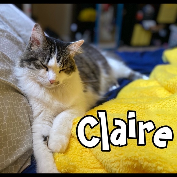 โจBookmark my closetโจ - Picture 5 of 11